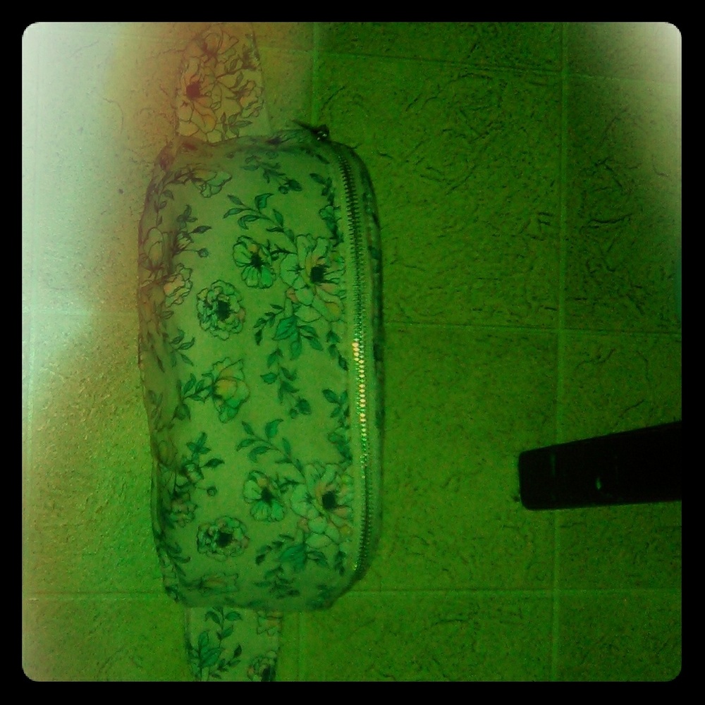 Fanny pack